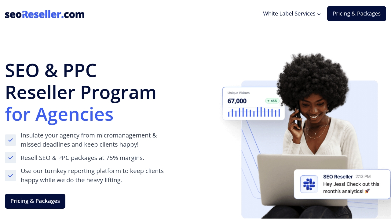 SEOReseller dashboard and white-label solutions