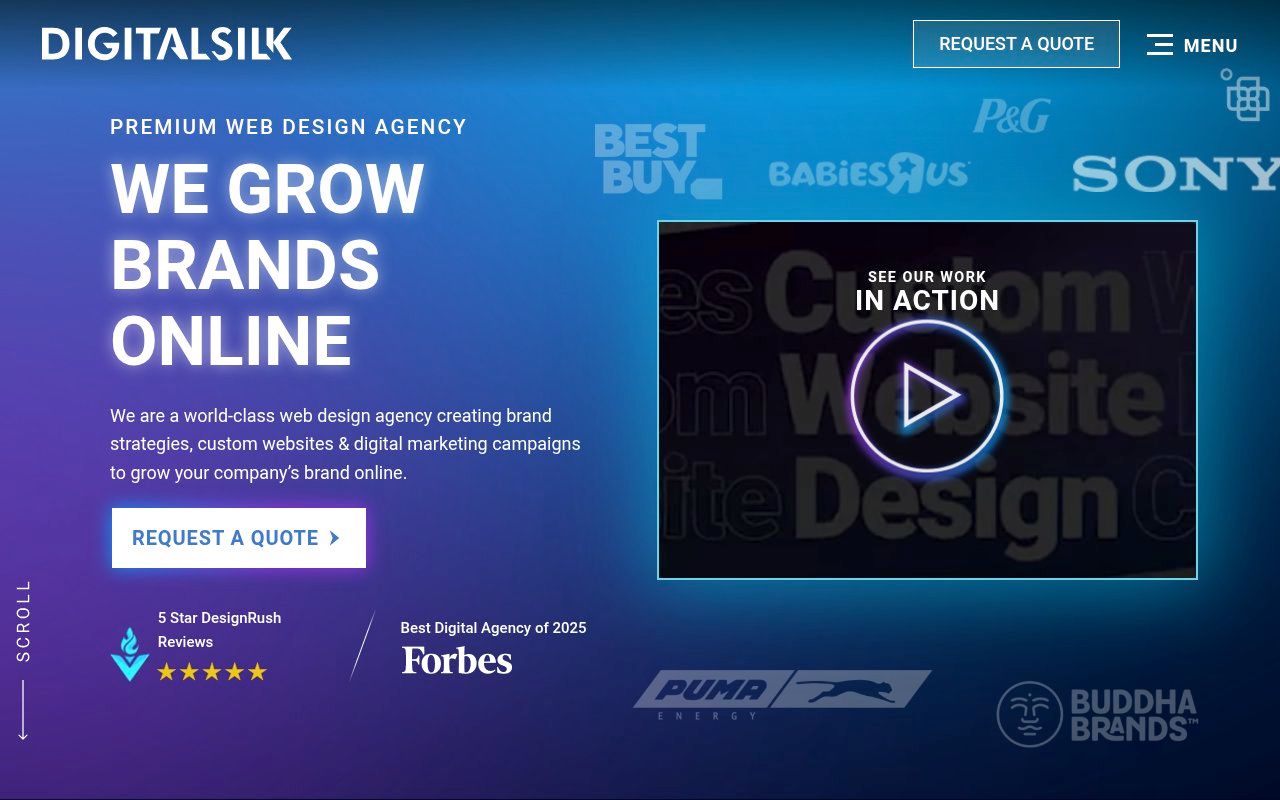 Digital Silk homepage