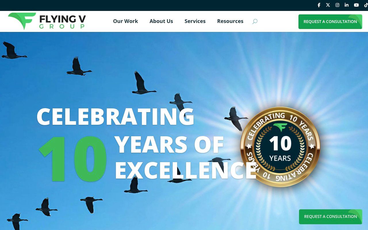 Flying V Group homepage