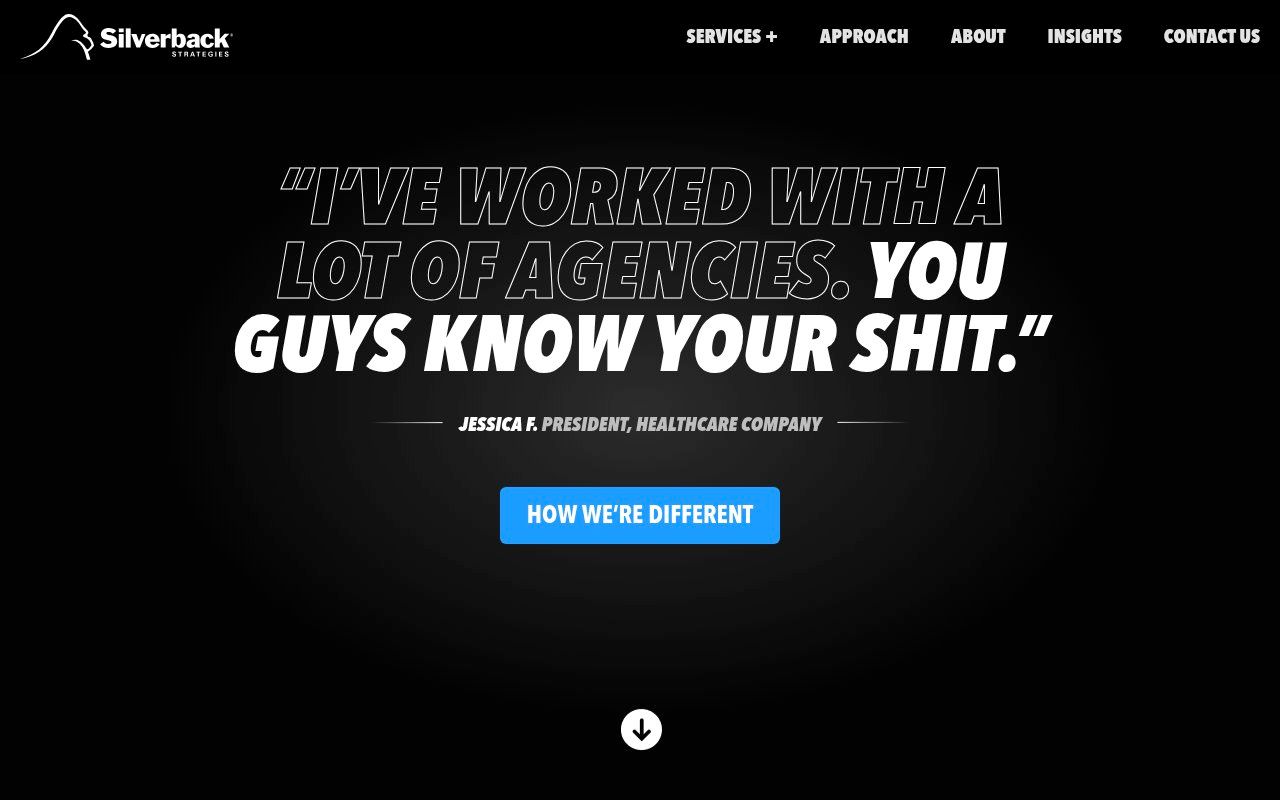 Silverback Strategies homepage