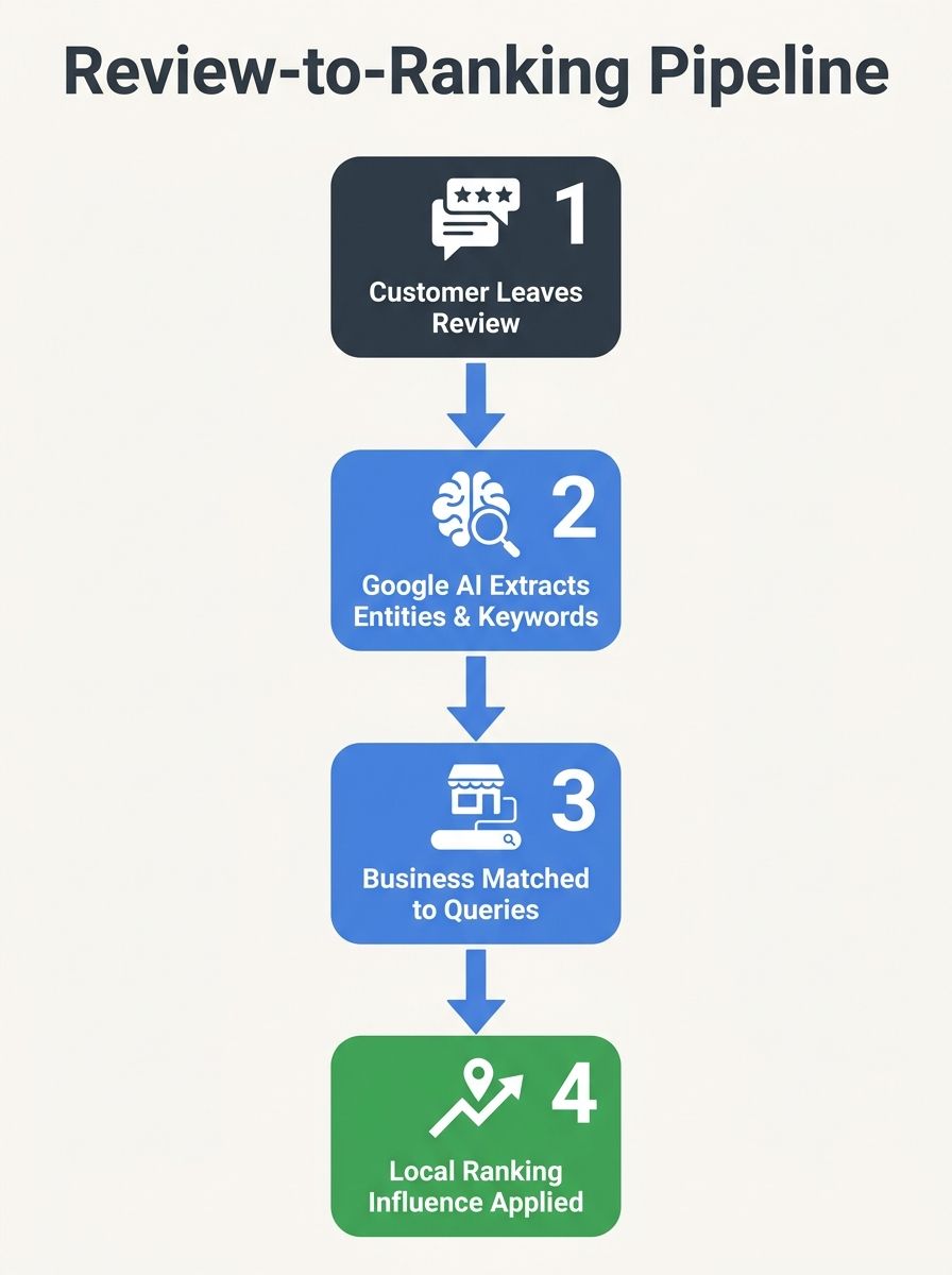 A flowchart showing the review-to-ranking pipeline, with stages labeled: customer leaves review, Google AI extracts entities and keywords, business matched to queries, local ranking influence applied