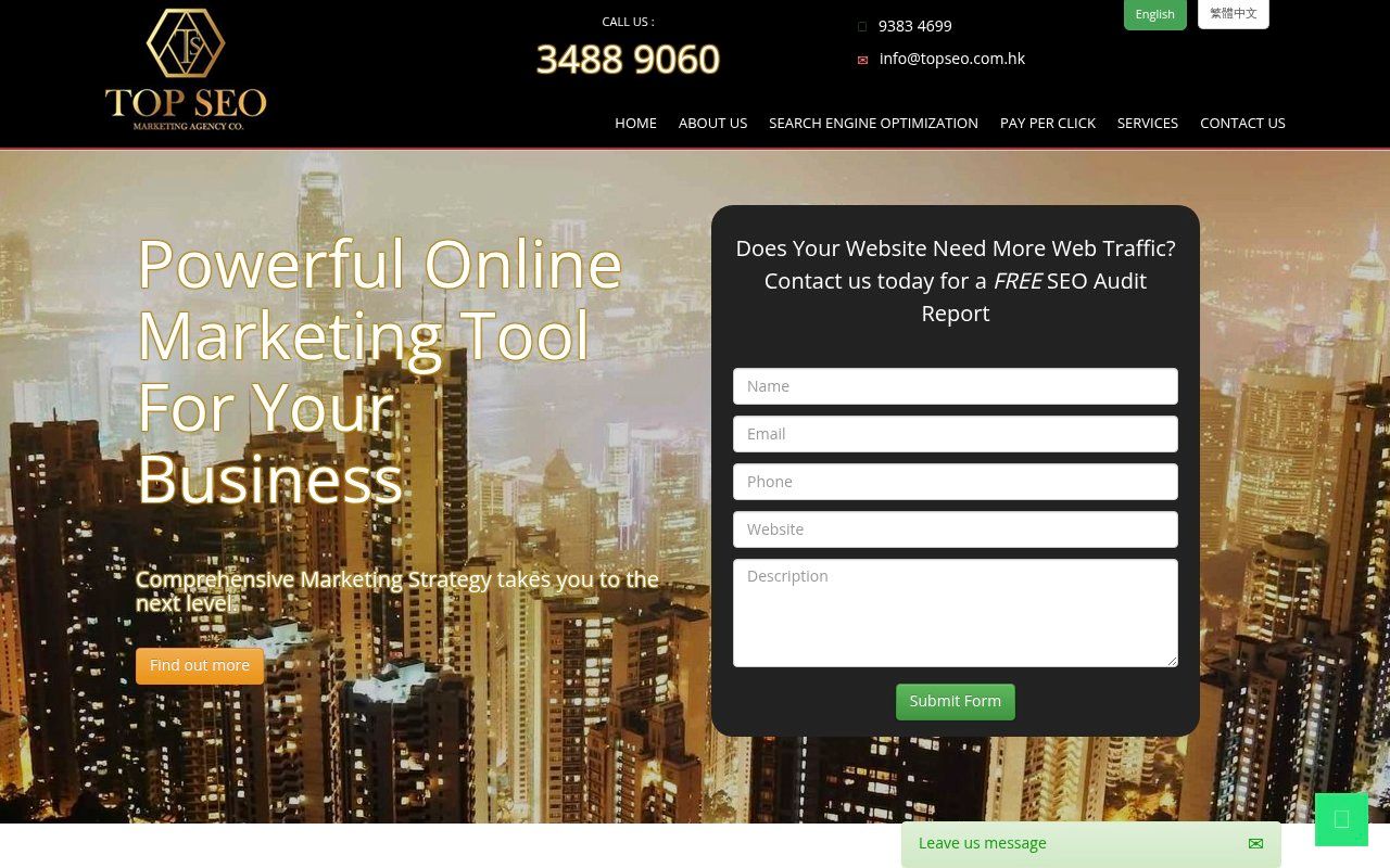 TOP SEO homepage screenshot